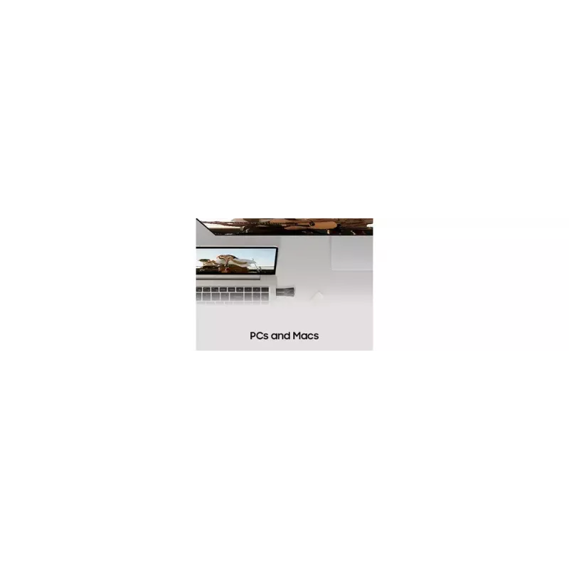 Samsung MUF-64BE USB flash disk 64 GB USB Type-A 3.2 Gen 1 (3.1 Gen 1) sivý