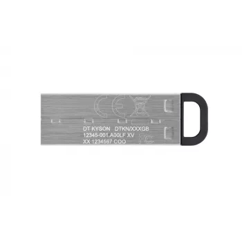 Kingston Technology DataTraveler 256GB Kyson USB flash disk