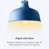 TP-Link Tapo Smart Wi-Fi žiarovka, stmievateľná