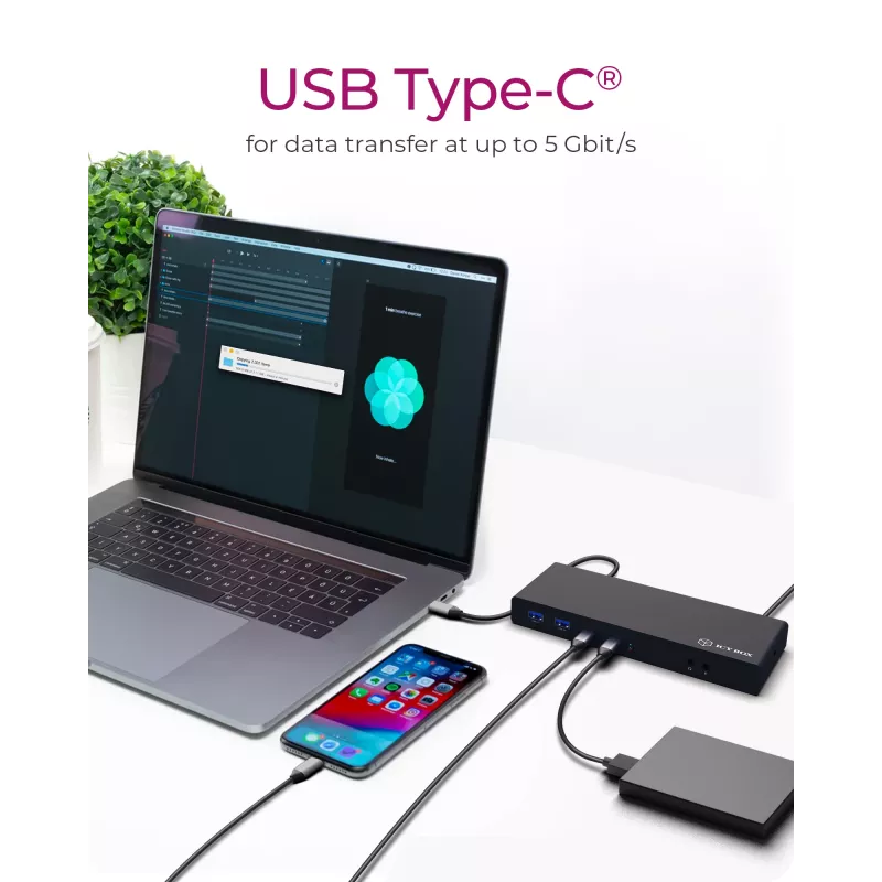 ICY BOX IB-DK2245AC káblová USB 3.2 Gen 1 (3.1 Gen 1) Type-C čierny