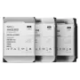 SYNOLOGY pevný disk HAS530012T - 12TB - SAS 12Gb/s - 3,5 palca - 7200 ot/min