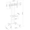 Techly ICA-TR23 mobilný stojan na TV s kolieskami, 32 – 70 palcov, 40 kg, s policou