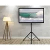 Techly univerzálny podlahový stojan pre 17-60 palcové televízory