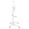 Techly ICA-TR49W multimediálny vozík/stojan biely pre plochý displej