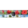 Kompaktný fotoaparát Technaxx TX-164 2 MP CMOS 1920 x 1080 Pixel čierna