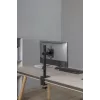 GEMBIRD stolový držiak na jeden monitor, 17