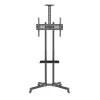 Techly ICA-TR216T mobilný TV vozík pre obrazovky 37–70 palcov (do 177,8 cm), max. 50 kg, 2 police, čierny