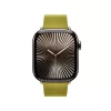 APPLE 42mm Chartreuse Modern Buckle – Large
