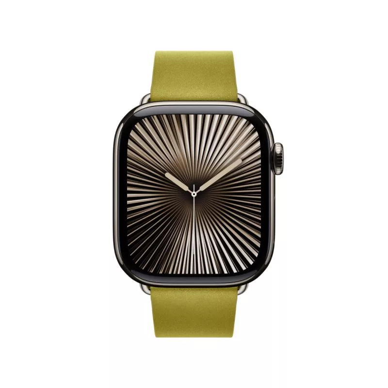APPLE 42mm Chartreuse Modern Buckle – Large