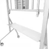 Neomounts MOVE Go XL FL50-575WH1 televízny vozík, 65-110 palcov, max. 125 kg, VESA 100x100-1100x600, nastaviteľná výška 129-139 cm, uzamykateľný, rýchla inštalácia, certifikát TÜV, biely
