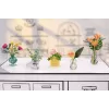 Miniverse - Make It Mini Botanicals, 8 rokov, viacfarebné, plast