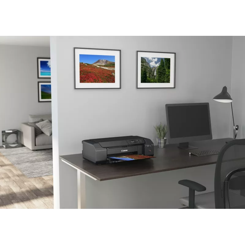 Canon PIXMA PRO-200s fototlačiareň atramentová 4800 x 2400 DPI Wi-Fi