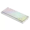 Gaming klávesnica Savio Phenix WHITE GAT žltá USB Bluetooth QWERTY
