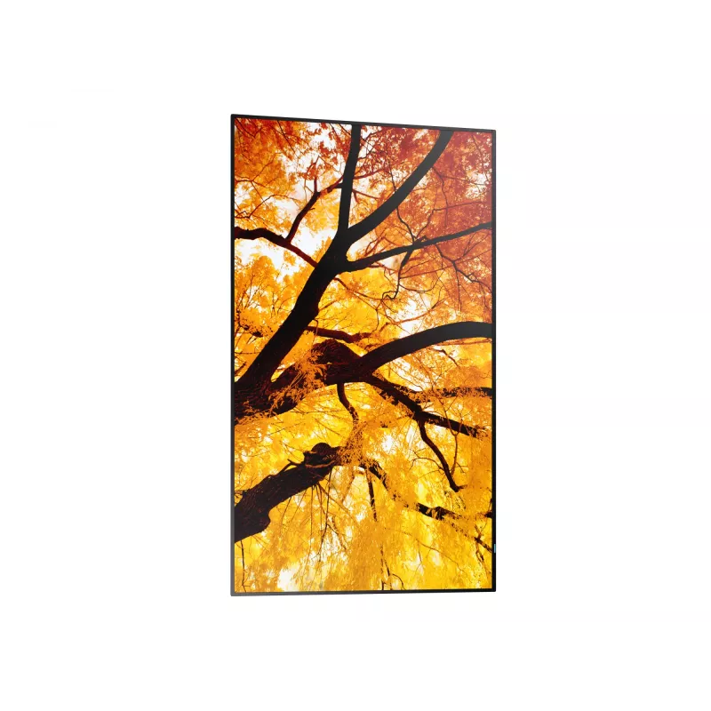 Sharp NEC MultiSync M322 (PN-M322) 32-palcový (81,3 cm) displej pre digitálne označenie, Full HD, 450 cd/m², 24/7, čierny