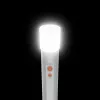 Ručná lampa Hama FL250 LED 3W hliník strieborná