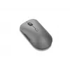 Lenovo Pro Plus 6050 myš Office obojručná RF Wireless + Bluetooth optická 2400 DPI