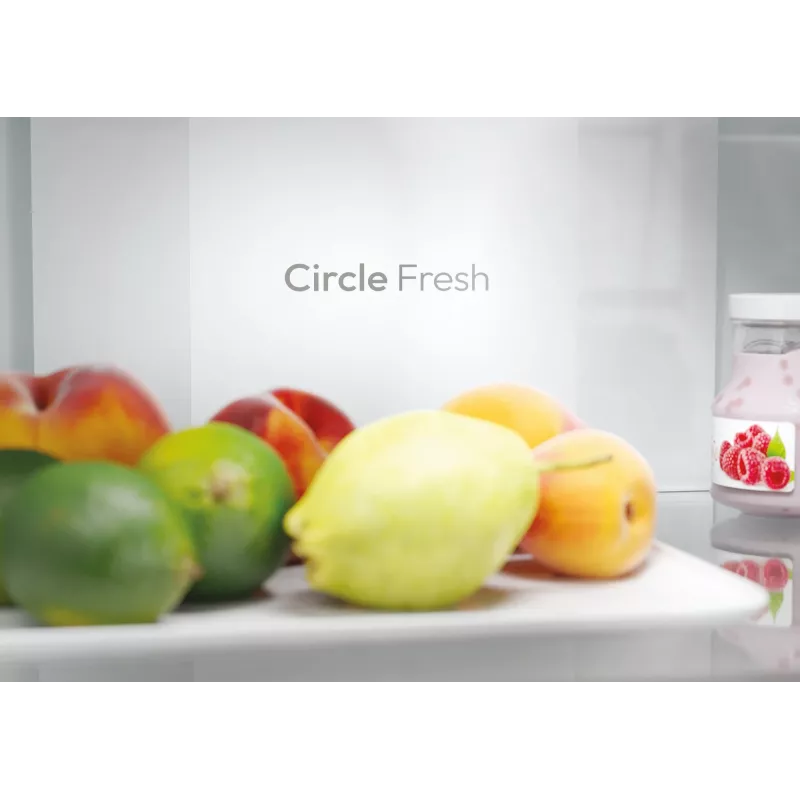 Candy Fresco ECN2CQTEW186 voľne stojaca 355 L biela