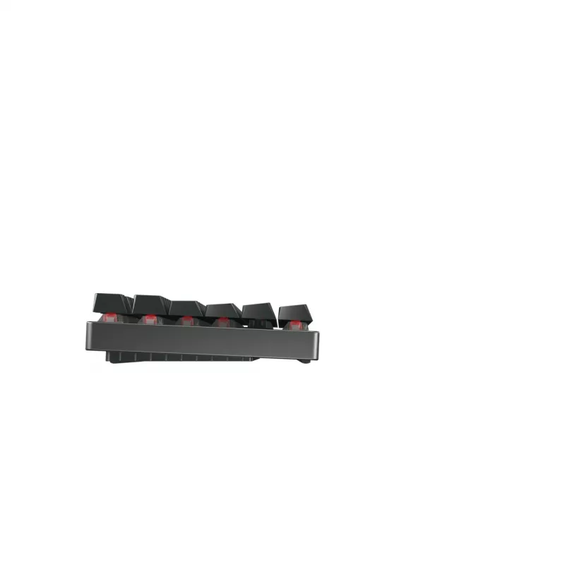 CHERRY MX 8.2 TKL Wireless RGB klávesnica herná RF bezdrôtová + Bluetooth QWERTZ nemecká čierna