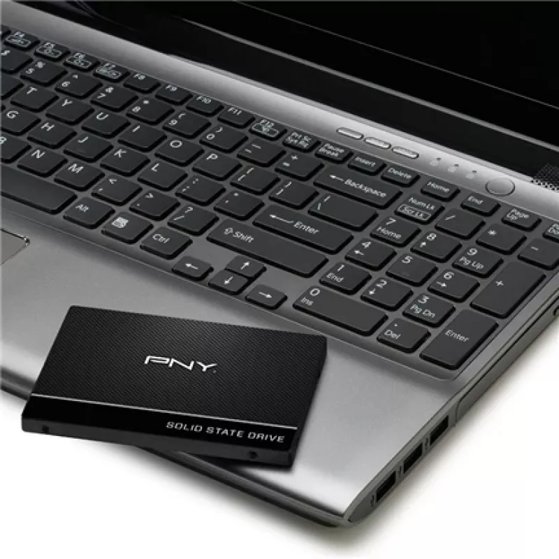 SSD disk PNY 250 GB 2,5 inch Serial ATA III SSD7CS900-250-RB