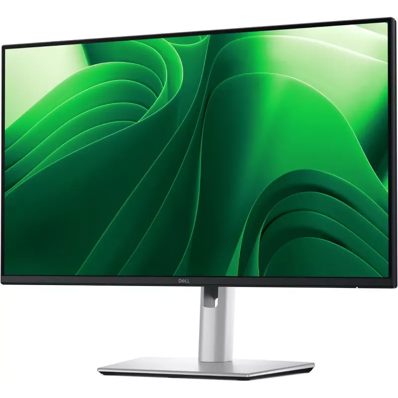 DELL Pro Plus P2425D počítačový monitor 61 cm (24