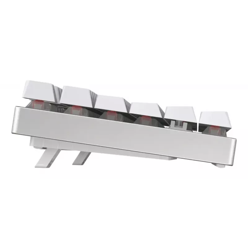 CHERRY MX 8.2 TKL Wireless RGB klávesnica herná USB + RF Wireless + Bluetooth QWERTZ nemecká biela