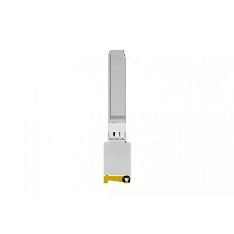 NETGEAR AXM765 SFP+ 10GBase-T RJ-45 transceiverový modul, do 80 m