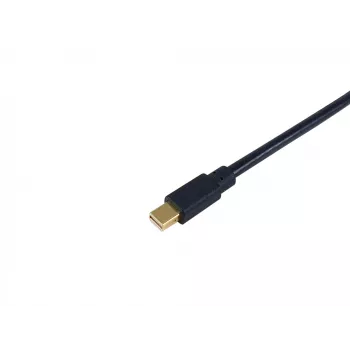 Equip Mini DisplayPort na DisplayPort kábel, M/M, 2,0 m