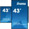 iiyama ProLite LH4360UHS-B2AG 43-palcový 4K UHD reklamný displej