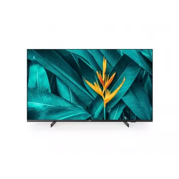Philips 55HFL5214U 139,7 cm (55