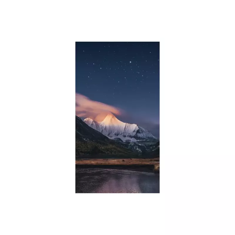 Monitor Samsung VH55R-R 55