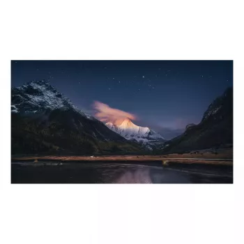 Monitor Samsung VH55R-R 55