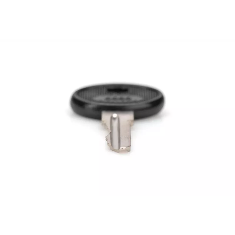 DIGITUS DN-19-KEY-4444 kľúč od zámku typ 4444 pre nástenné rozvádzače SOHO PRO DN-1019 / DN-DVR-1, čierna/strieborná, 2 ks