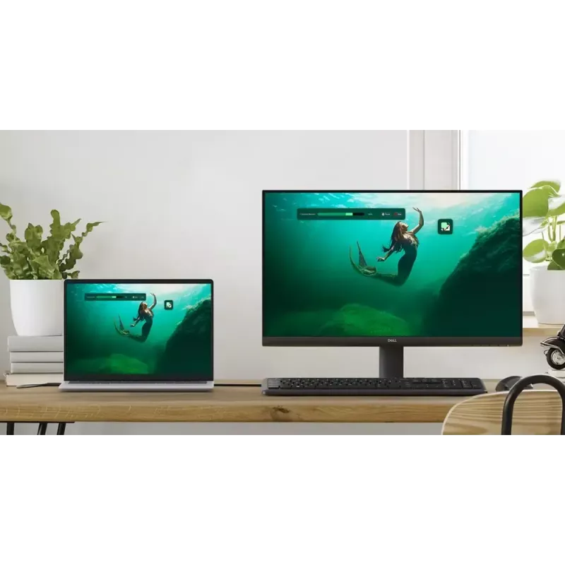DELL SE2425HM počítačový monitor 60,5 cm (23,8 palca) 1920 x 1080 pixelov Full HD LCD čierny