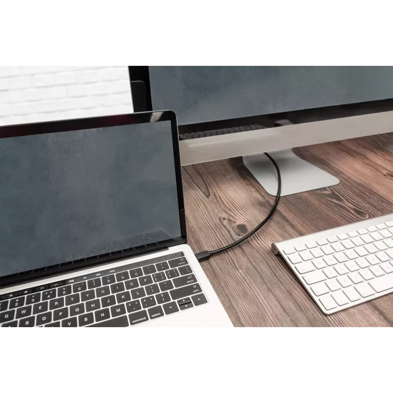 DIGITUS USB Type-C spojovací kábel, type C to C M/M, 1m Gen2 čierny (AK-300139-010-S)
