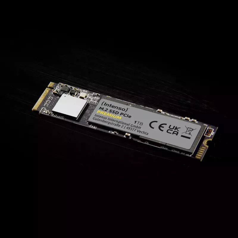 SSD pevný disk Intenso 250 GB M.2 PCI Express 3.0 NVMe model