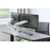 Neomounts DS70S-950WH2 Monitor rameno 17-35