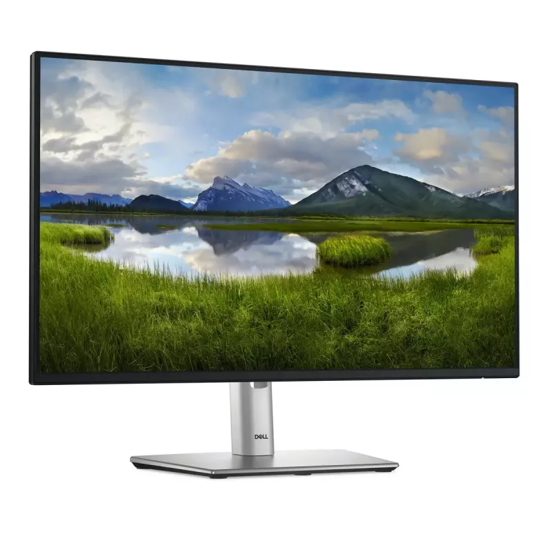 DELL Pro Plus P2425HE počítačový monitor 60,5 cm (23,8 palcov) 1920 x 1080 pixelov Full HD LCD čierny