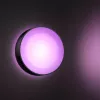 Vonkajšie nástenné svietidlo Philips Hue White and colour ambience Daylo