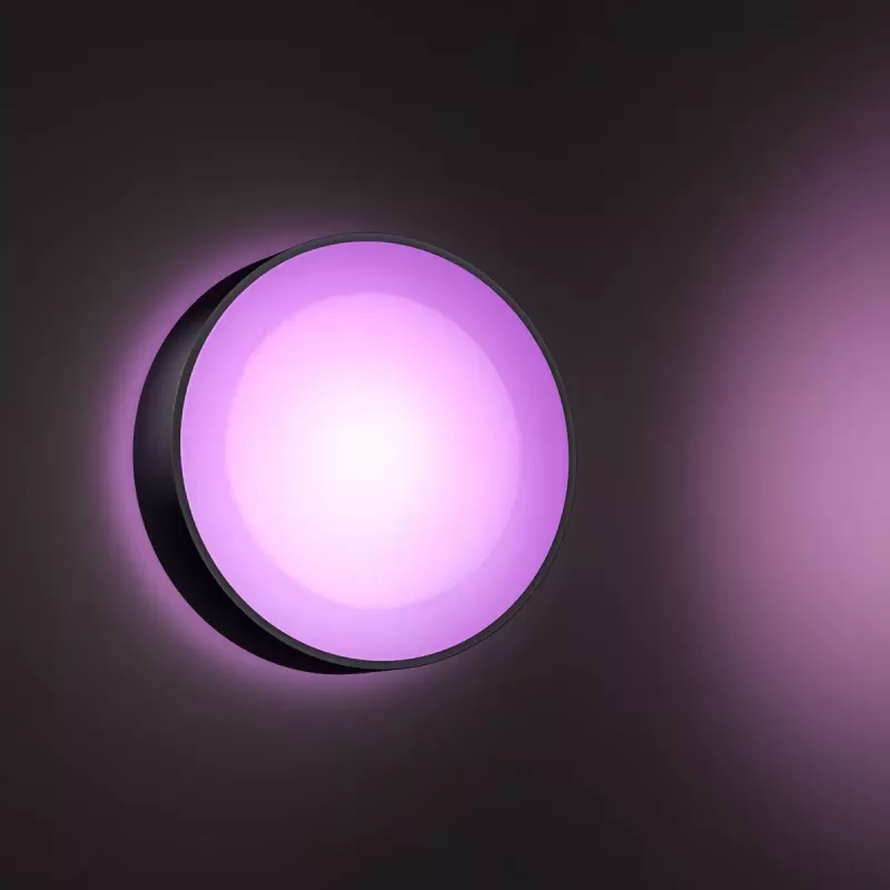Vonkajšie nástenné svietidlo Philips Hue White and colour ambience Daylo