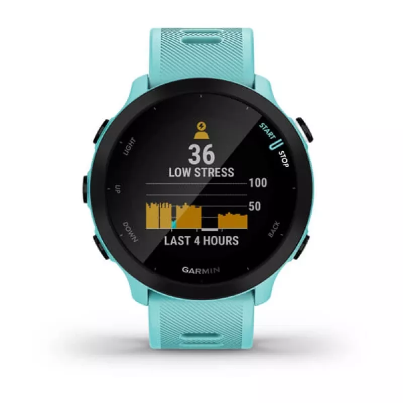 GARMIN INTERNATIONAL Forerunner 55 bežecké smart hodinky - Aqua