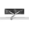 Neomounts DS70-250SL2 rameno na monitor 17-32