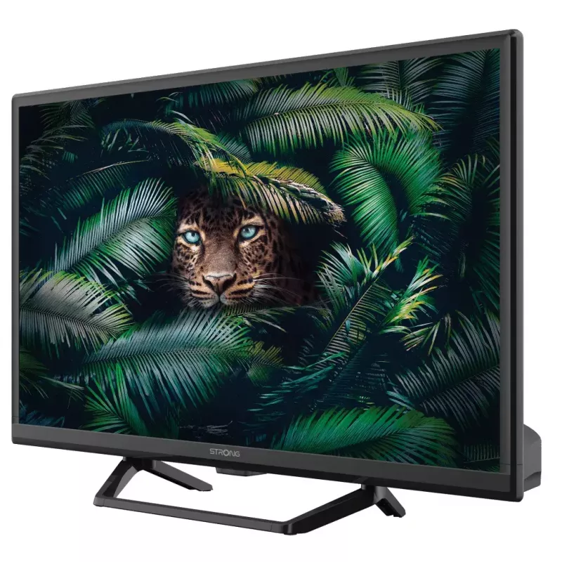 Televízor Strong SRT 24HE4023C 24