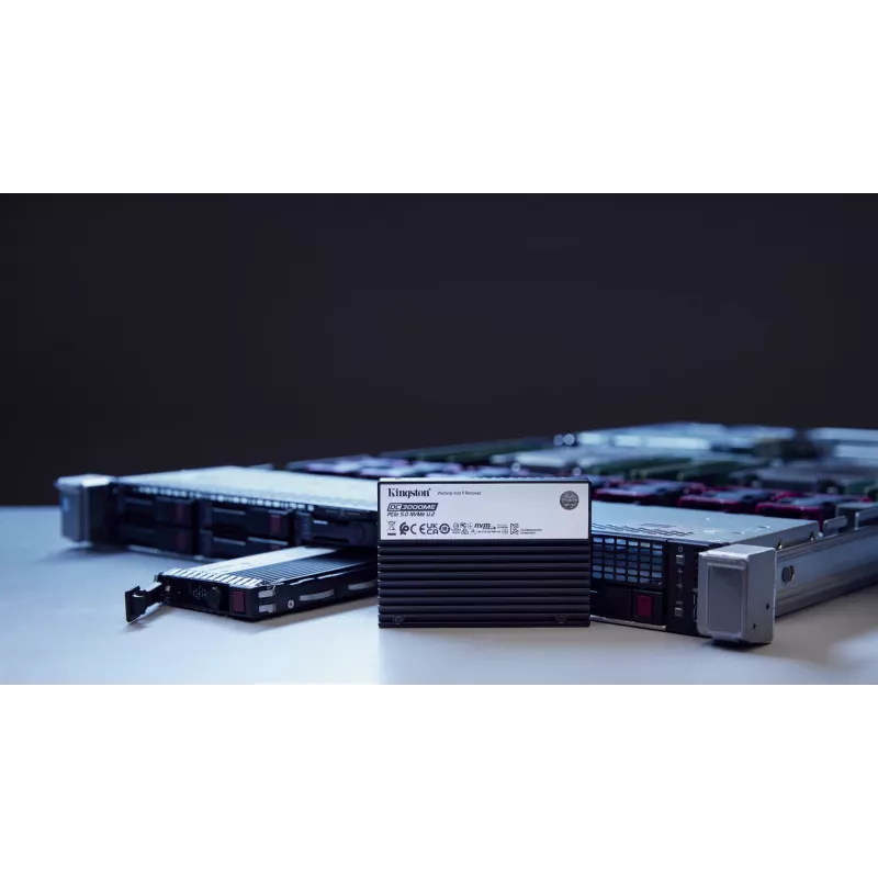 Kingston Technology 3,84 TB DC3000ME U.2 PCIe 5.0 NVMe TCG Opal Enterprise SSD