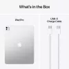 APPLE iPad Pro M5 - 13