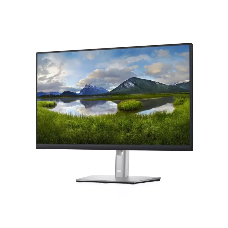 Monitor DELL P Series P2422H 23,8 palca Full HD LCD 1920 x 1080