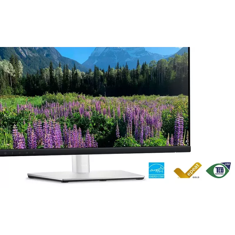 DELL P2424HEB 60,5 cm (23,8 palca) LCD 1920 x 1080 pixelov Full HD