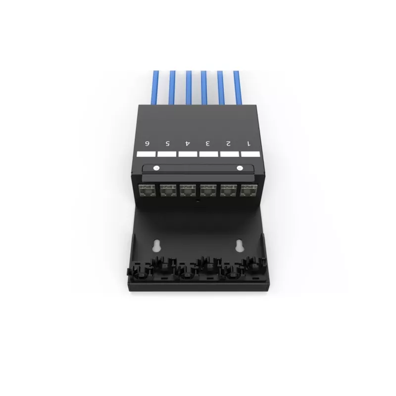 DIGITUS Consolidation Point Box – 6 portov Keystone moduly s inteligentným správcom káblov
