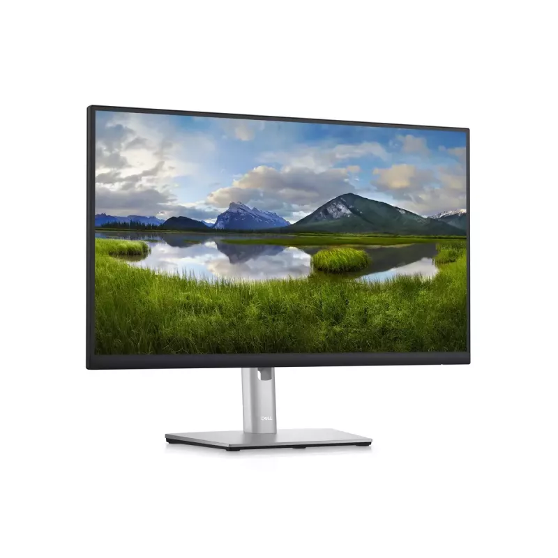 Monitor DELL P2423D 23,8 palca LCD Quad HD 2560 x 1440