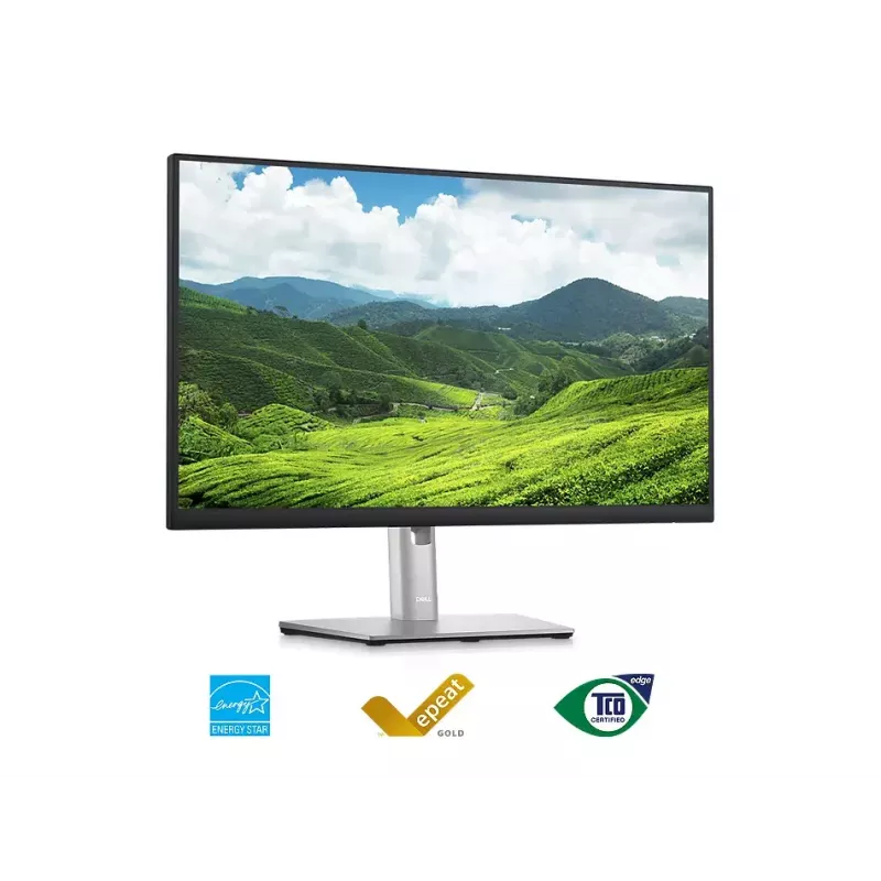 Monitor DELL P2423D 23,8 palca LCD Quad HD 2560 x 1440