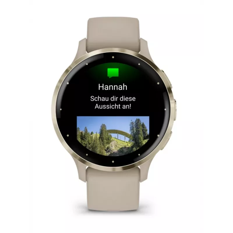 GARMIN INTERNATIONAL Venu 3S - 41 mm - smartwatch s remienkom - francúzsky - sivá